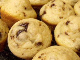 Chocolate Chip Mini Muffins