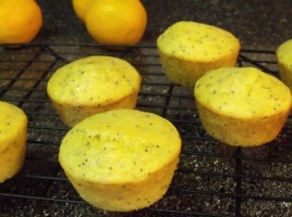Orange Poppy Muffins