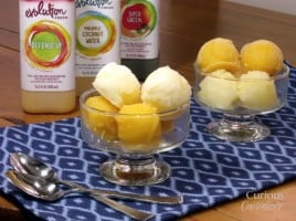 Juice Sorbet from Curious Cuisiniere