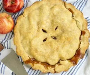 This Brandy Apple Pie has a (not so) secret ingredient that adds some serious flavor to the American classic! We're using an oil pie crust to add extra tenderness to this delicious pie. This is definitely a fall baking recipe that you need to try! | www.CuriousCuisiniere.com