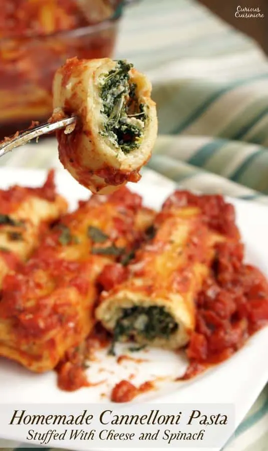Spinach and Ricotta Cannelloni is a classic Italian stuffed pasta dish. We'll show you how to make your own easy cannelloni pasta and give you an even easier "cheat" way to make the dish! | www.CuriousCuisiniere.com 