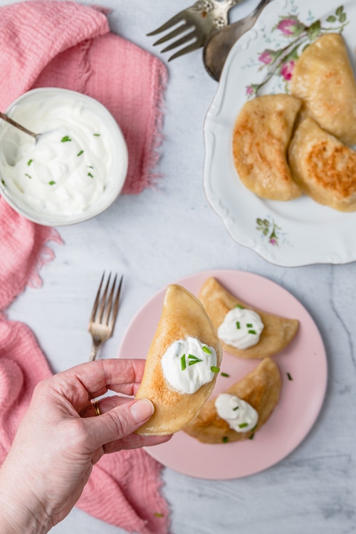 Polish pierogi filled with potatoes and cheese
