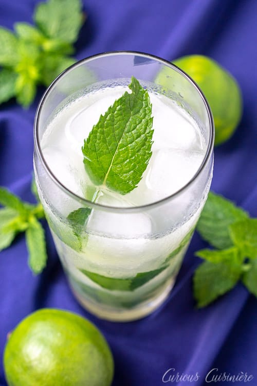 Classic Cuban Mojito • Curious Cuisiniere