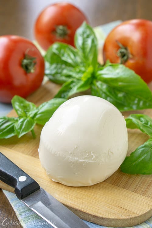 Fresh mozzarella, basil, and tomatoes for Insalata Caprese ( Caprese Salad). | www.CuriousCuisiniere.com