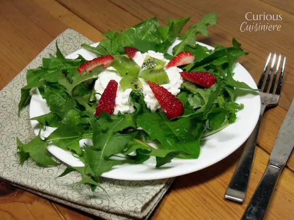Strawberry Kiwi Salad with Dandelion Greens from Curious Cuisiniere