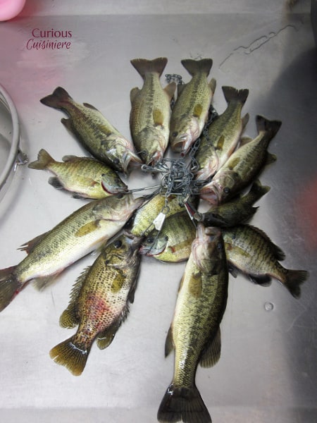 Lake To Table by Curious Cuisiniere