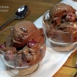 Black Forest Frozen Yogurt Ice Cream