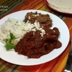 Mole Rojo (Mexican Red Mole Sauce) with Venison