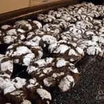 Chocolate Crinkle Cookies