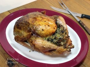 Roasting a Turkey with Curious Cuisiniere