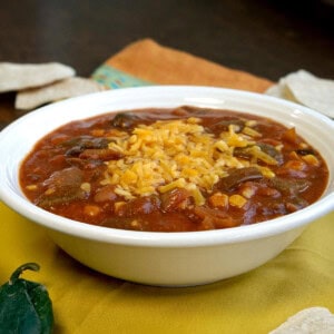 This slow cooker Vegetarian Enchilada Soup | www.CuriousCuisiniere.com