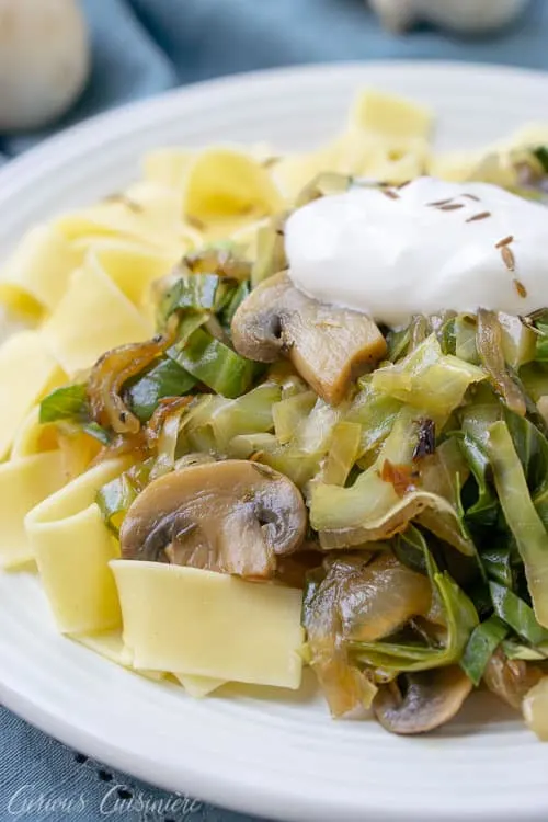 An unexpected combination of flavors comes together to create Lazanki. With cabbage, noodles, sour cream and mushrooms, this dish could be called the Polish version of stroganoff. | www.CuriousCuisiniere.com