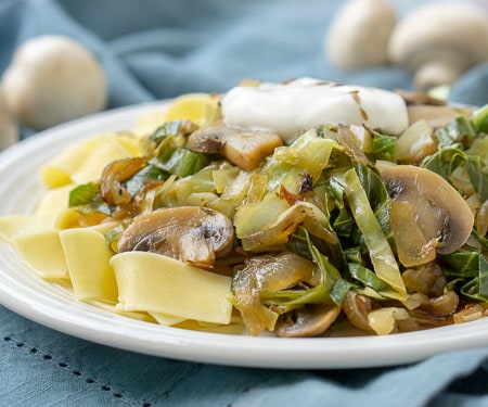 Polish Lazanki, sauerkraut with mushrooms over top of wide noodles on a blue background. | www.CuriousCuisiniere.com