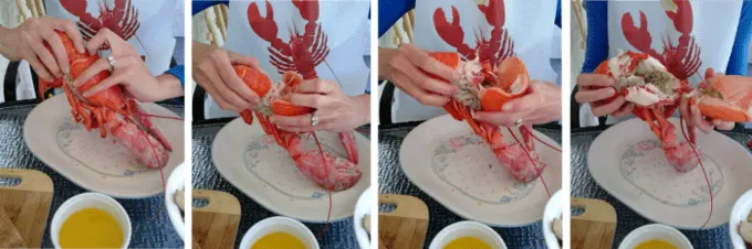 Eating Lobster with Curious Cuisiniere