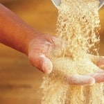 All You Wanted To Know About Wheat Flour