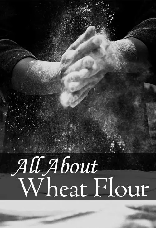 Have you ever wondered about the different types of wheat flour in the baking aisle? We're breaking down the differences between wheat flour and white flour, self rising and bread flour, even spelt and kamut. This article is everything you could want to know about wheat flour.