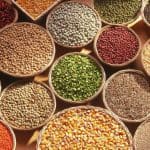 What are Whole Grains?