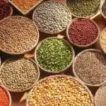 What are Whole Grains?