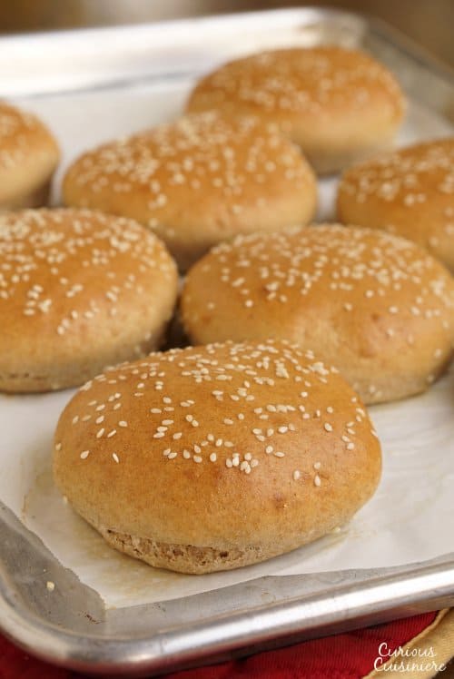 These homemade, wheat hamburger buns go from a pile of ingredients to fluffy, golden buns in less than an hour. | www.CuriousCuisiniere.com