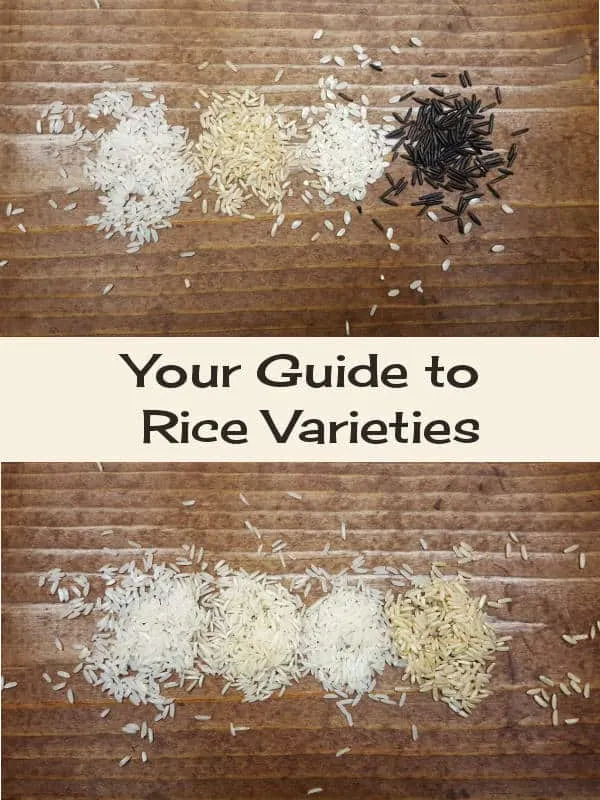 Your guide to picking the right rice for the job. | www.curiouscuisiniere.com