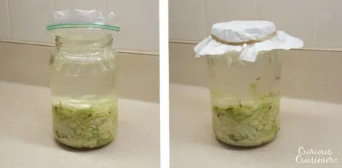 Cabbage and salt are all you need to make small batches of this authentic German sauerkraut at home. | www.curiouscuisiniere.com