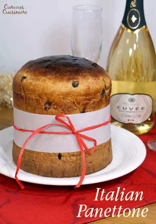 The classic Italian Christmas bread, Panettone, brings cake and bread together, and this easy recipe creates the perfect holiday loaf. | www.curiouscuisiniere.com