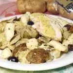 Greek Chicken Poutine