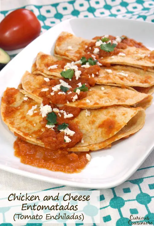 Chicken and Cheese Entomatadas are a chili-less version of enchiladas that uses the sweetness of tomatoes to create a fun and flavorful dish. | www.CuriousCuisiniere.com