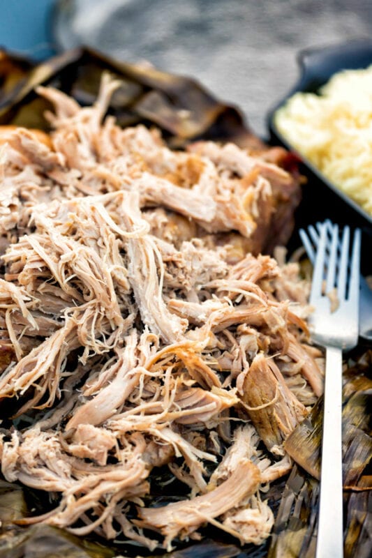 Hawaiian Kalua pork pulled