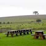 Explore South African Wine with #winePW
