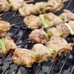 Negima Yakitori (Japanese Chicken Skewers)