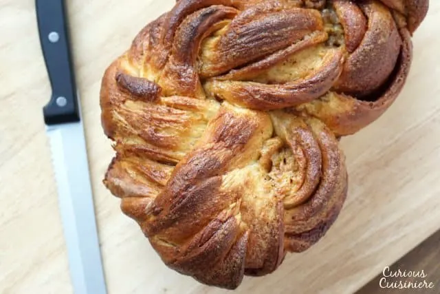 Tender and fluffy, and bursting with cinnamon flavor! Our Bread Machine Cinnamon Babka recipe makes this impressive, twisted sweet bread super easy to put together. | www.CuriousCuisiniere.com