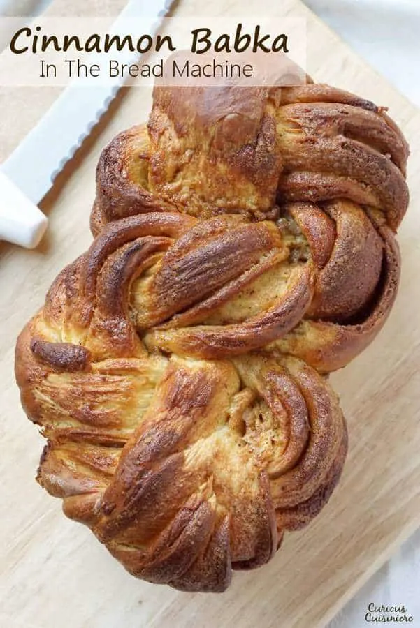 Tender and fluffy, and bursting with cinnamon flavor! Our Bread Machine Cinnamon Babka recipe makes this impressive, twisted sweet bread super easy to put together. | www.CuriousCuisiniere.com