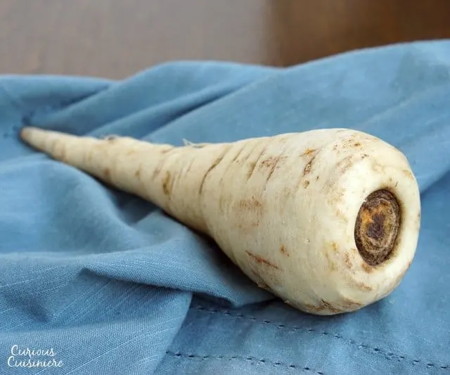 A large white parsnip on a blue fabric cloth.