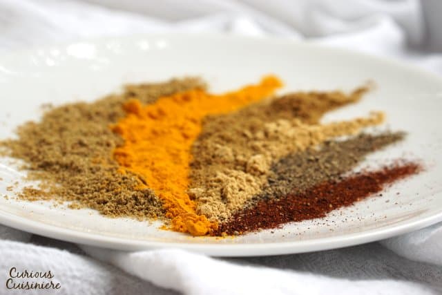 Warm ground spices arranged on a white plate. Low angle. 