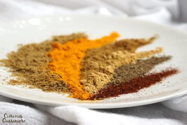 Warm ground spices arranged on a white plate. Low angle. 