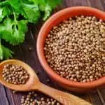 What is the difference between cilantro and coriander?