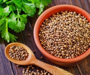 What is coriander? What is cilantro? Are they the same, or different? Learn about these spices and how to use cilantro and coriander in cultural cooking. | www.CuriousCuisiniere.com