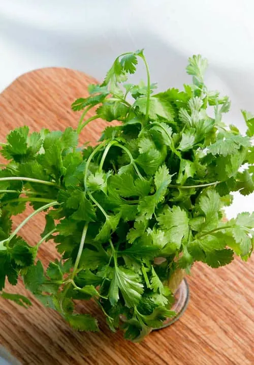 What is cilantro? Cilantro is the name for coriander leaves in some countries. This bright and aromatic herb adds a light flavor to any dish that it accents. | www.CuriousCuisiniere.com