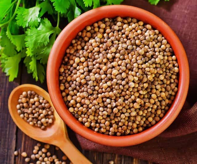 What is coriander? Coriander seeds are an aromatic spice with a citrus and floral aroma. They are used to add dept of flavor to dishes in numerous cultures. | www.CuriousCuisinire.com