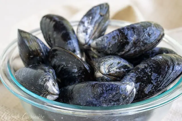 For an elegant summer appetizer, try these Galician Style Mussels in white wine and tomato sauce. These mussels are quick and easy to prepare. And, they are the perfect recipe to pair with a crisp Spanish white wine, like an Albariño. | www.CuriousCuisiniere.com 