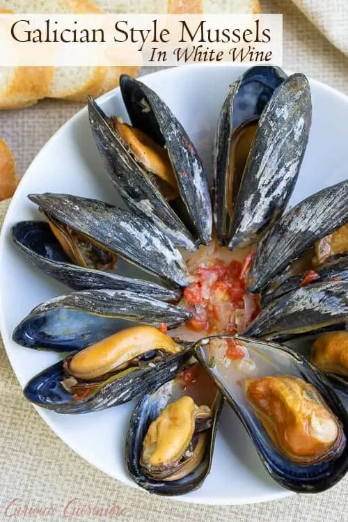For an elegant summer appetizer, try these Galician Style Mussels in white wine and tomato sauce. These mussels are quick and easy to prepare. And, they are the perfect recipe to pair with a crisp Spanish white wine, like an Albariño. #spain #seafood #mussels #appetizer #winepairing | www.CuriousCuisiniere.com 