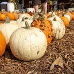 Cooking With Pumpkin Around The World