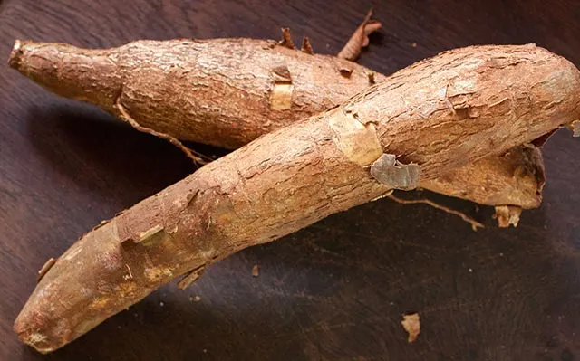 Cassava root | www.CuriousCuisiniere.com