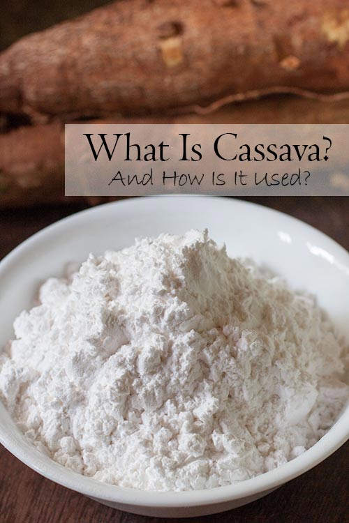 What do Brazilian cheese bread and bubble tea have in common? Cassava. Also known as manioc and yuca, this starchy root is widely used in South American baking (particularly gluten free baking) and cooking. | www.CuriousCuisiniere.com 