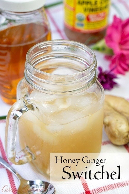 Switchel (Caribbean Honey Ginger Drink) • Curious Cuisiniere