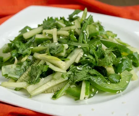 Chinese Tiger Salad - Lao Hu Cai - with cucumbers, cilantro, green peppers in a sesame oil dressing. on a white plate with a red background. small image.