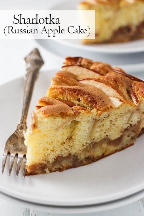 Sharlotka (Russian Apple Cake) • Curious Cuisiniere