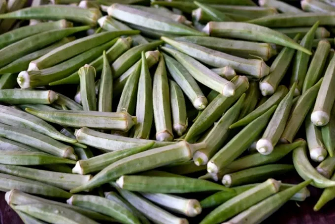 Okra