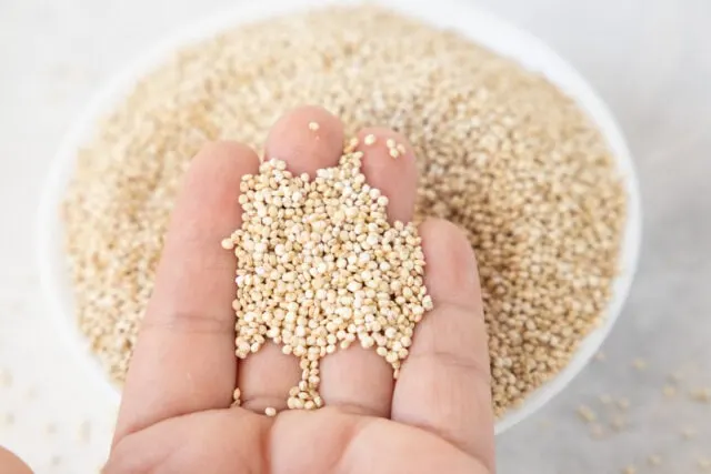 Bolivian white quinoa